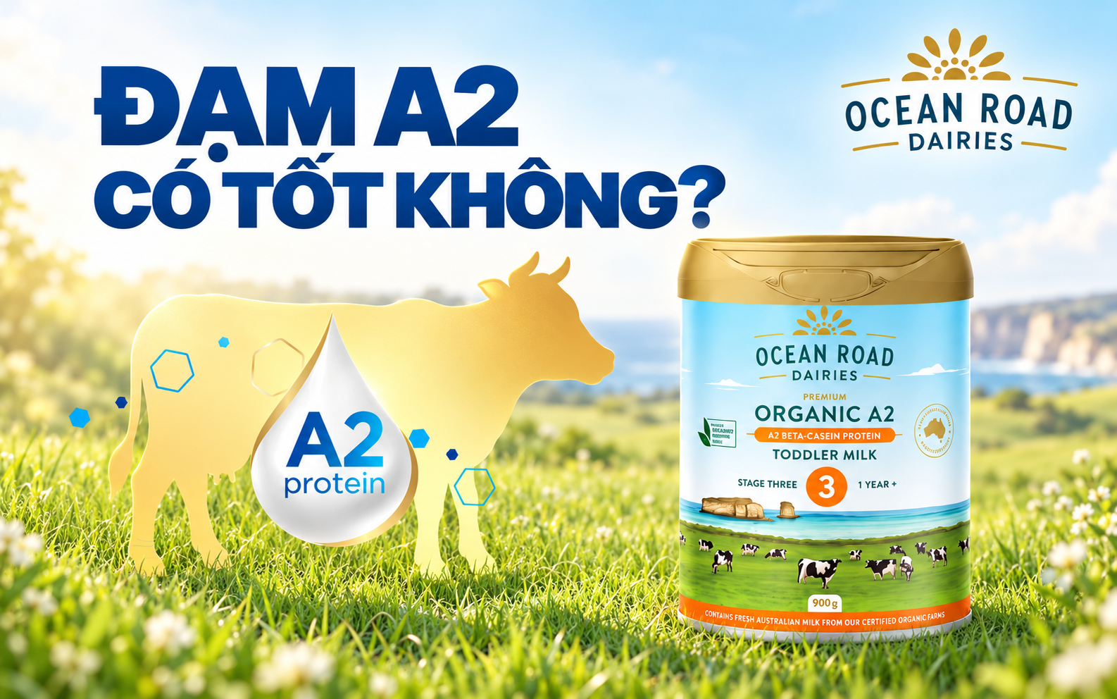 Đạm A2 có tốt không?