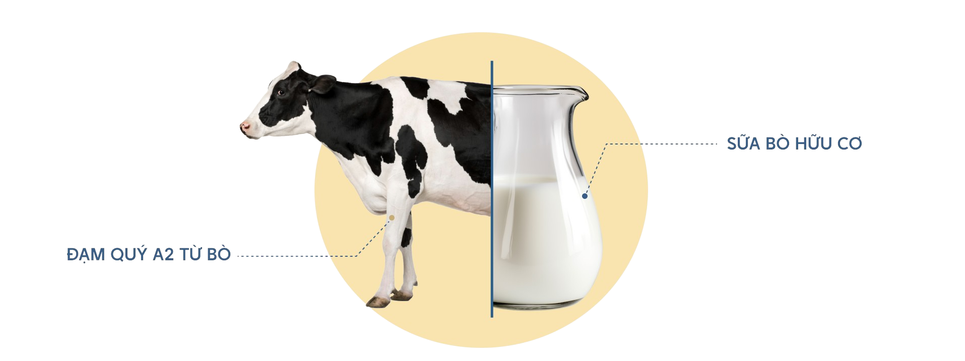 Tinh khiết từ thiên Nhiên