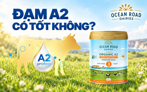 Đạm A2 có tốt không?