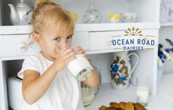 Casein là gì? Đạm casein có trong thực phẩm nào?