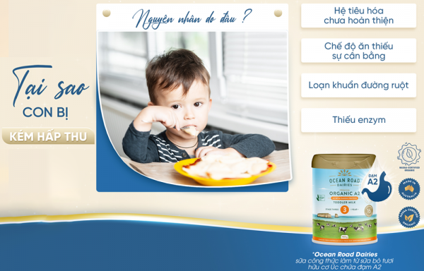 Tại sao con lại kém hấp thu?
