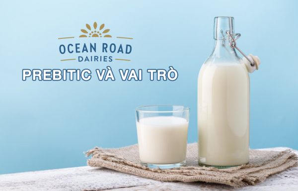 Chất xơ và vai trò của chất xơ với cơ thể