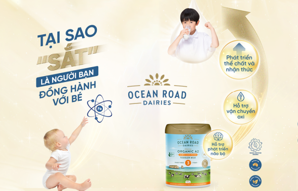 Tại sao sắt là bạn đồng hành cùng trẻ nhỏ?