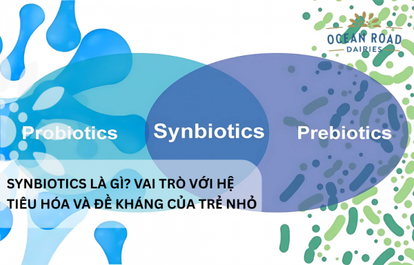 Synbiotics là gì? Vai trò với hệ tiêu hóa và đề kháng của trẻ nhỏ