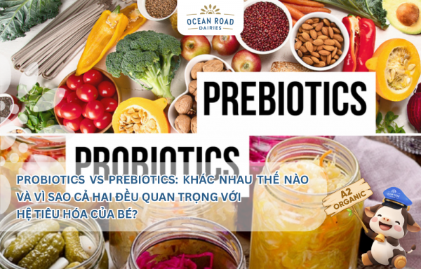 Probiotics vs Prebiotics: Khác nhau thế nào và vì sao cả hai đều quan trọng với hệ tiêu hóa của bé?