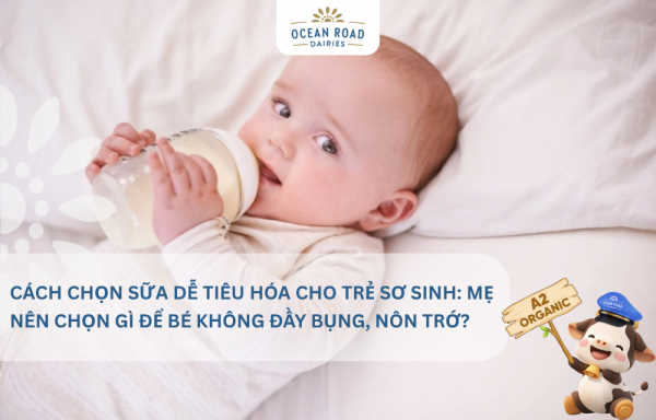 Cách chọn sữa dễ tiêu hóa cho trẻ sơ sinh: Mẹ nên chọn gì để bé không đầy bụng, nôn trớ?