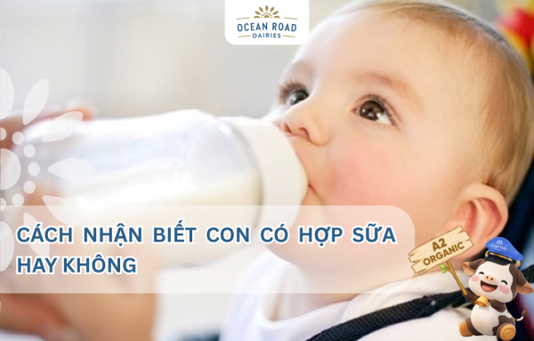 Cách nhận biết con có hợp sữa hay không 