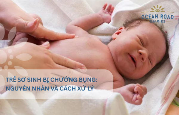 Trẻ sơ sinh bị sôi bụng, chướng bụng: Nguyên nhân và cách xử lý hiệu quả