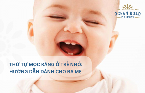 Thứ Tự Mọc Răng Ở Trẻ Nhỏ: Hướng Dẫn Dành Cho Ba Mẹ