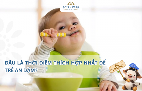 Đâu là thời điểm thích hợp nhất để trẻ ăn dặm?