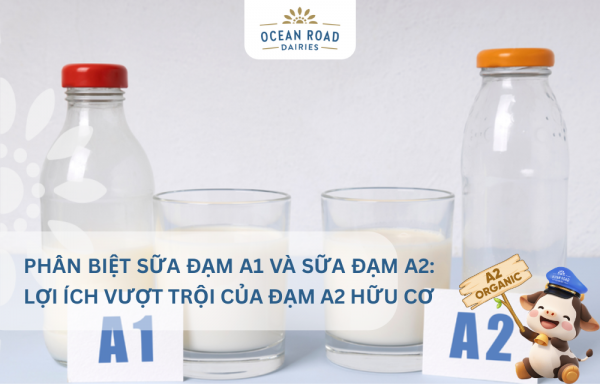Phân Biệt Sữa Đạm A1 và Sữa Đạm A2: Lợi Ích Vượt Trội Của Đạm A2 Hữu Cơ