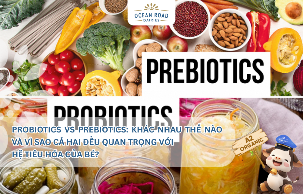 Probiotics vs Prebiotics: Khác nhau thế nào và vì sao cả hai đều quan trọng với hệ tiêu hóa của bé?
