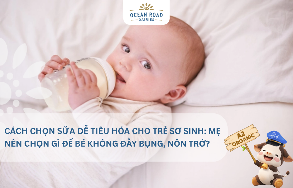Cách chọn sữa dễ tiêu hóa cho trẻ sơ sinh: Mẹ nên chọn gì để bé không đầy bụng, nôn trớ?