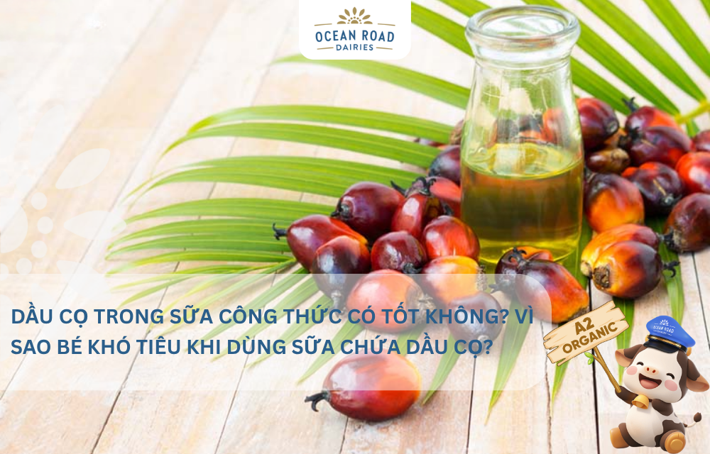 Dầu cọ trong sữa công thức có tốt không? Vì sao nhiều bé khó tiêu khi dùng sữa chứa dầu cọ