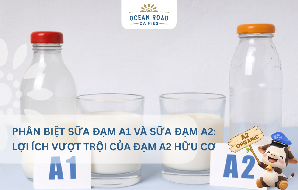 Phân Biệt Sữa Đạm A1 và Sữa Đạm A2: Lợi Ích Vượt Trội Của Đạm A2 Hữu Cơ